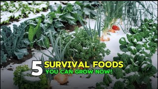 5 Winter Survival Foods You Can Grow Thrive in the Cold [upl. by Annayrb]