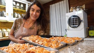 Freeze Drying Wild Mushrooms Chicken Of The Woods [upl. by Inerney]