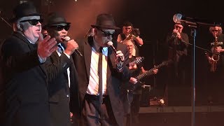 The Original Blues Brothers Band quotSweet home Chicagoquot  Wrocław 2014 [upl. by Delaryd]