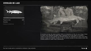 RED DEAD REDEMPTION 2 COMPÊNDIO PEIXES  ESTURJÃO DE LAGO 8 [upl. by Unam]