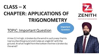 Very Important Question from Applications of TrigonomertyClass XA tree 12 m high is broken by [upl. by Yelrebmik217]