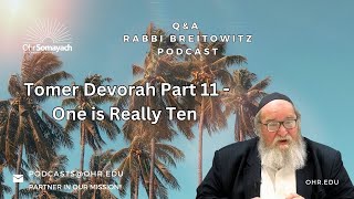 Tomer Devorah Part 11  10 Are Really One HaRav Yitzchak Breitowitz [upl. by Gallenz]