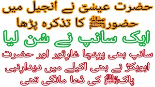 Hazrat Abu Bakar RA bhi Aashiq or aik sanp bhi Aashiq  Gharesor me haziry  by Shahzaib Khan [upl. by Ellehcil]