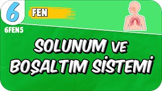 Solunum ve Boşaltım Sistemi 📗 6FEN5 2025 [upl. by Ocsinarf]