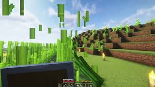 Lagermeister Donferd Minecraft 121 15 [upl. by Galen]