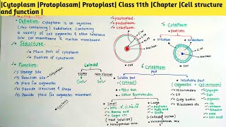 Cytoplasm Protoplasam Protoplast Class 11th Chapter Cell structure and function [upl. by Euphemie]