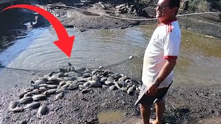 SEQUEI O POÇO DA LAGOA TINHA MUITO PEIXE GRANDE [upl. by Stoops794]