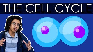 Biology Crash Course The Cell Cycle [upl. by Garner]