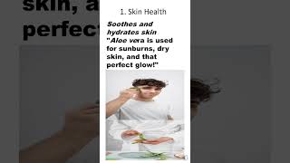 Aloe Vera’s Top 3 Health Benefits You Can’t Miss ytshorts shortfeed science [upl. by Enilarak816]