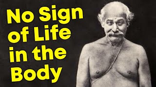 Miracle of Lahiri Mahasaya  Kriya Yoga Guru  Wise Lessons [upl. by Walters]