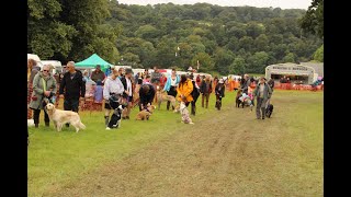 Boconnoc Steam Fair 2023 Dog Show sunday [upl. by Jeffcott]