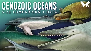 Aquatic animals of the Cenozoic Size comparison paleoart [upl. by Knoll]