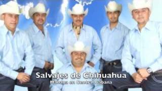 Salvajes de Chihuahua MixxDj Click in da Mixx [upl. by Jet]