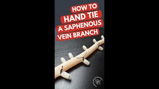 Lets tie a saphenous vein branch [upl. by Yung148]