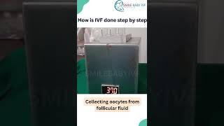 IVF Step by step Egg pick up ivf ivfjourney ivfsuccess [upl. by Drahsar]