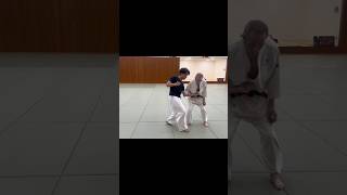 Tsuki kiriotoshi aikido martialarts karate aikikai 合気道 judo aikidotechniques [upl. by Melvyn982]