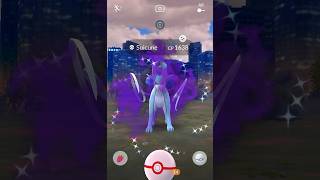 Shiny Shadown Suicune Pokémon GO [upl. by Yve]