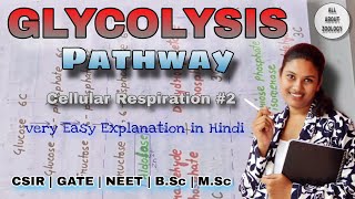 GLYCOLYSIS PATHWAY Explain in Detail  Hindi Explanation  Biochemistry [upl. by Phillada126]