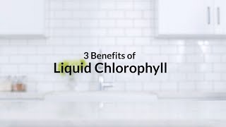 4 Benefits of Liquid Chlorophyll  iHerb [upl. by Nnylarac58]