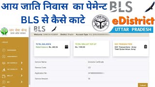 आय जाति निवास का पेमेन्ट BLS से कैसे काटे  bls e district aay jati niwas kaise payment kaise kare [upl. by Allegra571]