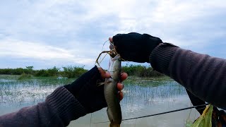 Awesome Creative Fishing Hook  Twin Hooks For Natural Fish Casting Fishing Skills [upl. by Sybley91]