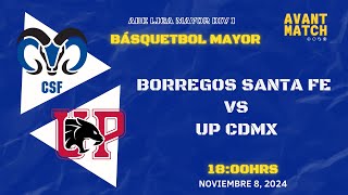 LIGA MAYOR ABE VARONIL DIV I EN VIVO 🔴  BORREGOS CSF VS UP CDMX  AVANT MATCH [upl. by Pawsner]