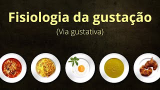 Fisiologia da gustação via gustativa [upl. by Kimble]