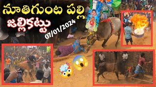 Nuthigunta palli Jallikattu 🐂😱  07012024 నూతిగుంట పల్లి 🤯  Chittoor Traditional Jallikattu 2024 [upl. by Nylcaj]