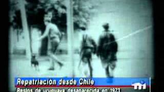 Fue decapitada a patadas en Chile [upl. by Arte]