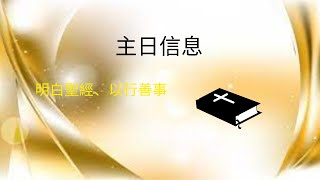 南港恩慈堂主日線上直播 20240128 明白聖經、以行善事 [upl. by Revorg]