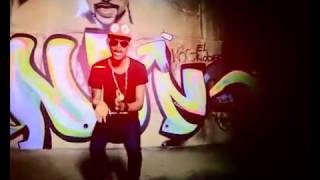 SHAGGY SHAROOF  RINDIN CLIP OFFICIEL [upl. by Akemat]