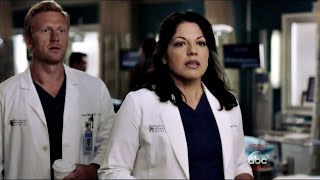 Callie amp Arizona 12x01 Part 1 [upl. by Lantz]