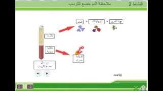 مكونات الدم الثالثة إعدادي [upl. by Annaoj]