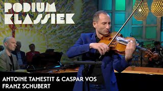 Antoine Tamestit amp Caspar Vos  Franz Schubert  Nacht und Träume  Podium Klassiek [upl. by Forelli623]