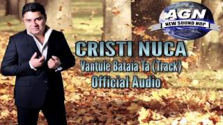 CRISTI NUCA  VANTULE BATAIA TA TRACK OFFICIAL AUDIO [upl. by Akemeuwkuhc]