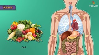 Glycolysis steps in detail Animation  Medical Biochemistry [upl. by Ecirehs]