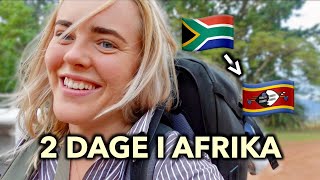 Rejser fra Sydafrika til Eswatini🦁🐘⛺️ [upl. by Apple]