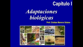 Tipos de adaptaciones biológicas Capítulo I [upl. by Yanrahc883]