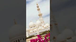 vairalvideo delowarhossainsaidi waz islamicvideo islamicshorts [upl. by Chretien]