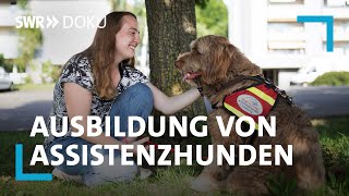 Zurück ins Leben  mein Hund als Helfer  SWR Doku [upl. by Oran163]