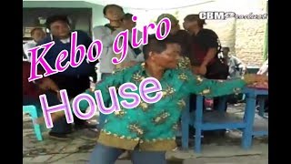 KEBO GIRO HOUSE  RENGGO LAWE [upl. by Akinna]