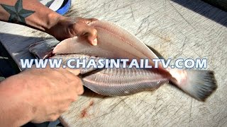 Fillet a Flounder in Under 15 seconds  Chasin Tail TV [upl. by Enaywd]