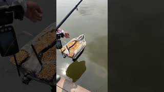 Bro，be generous when fishing fishing carpfishing boatman baitboat bassfishing bait boat [upl. by Eelan]