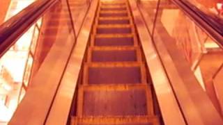 Escalator at Macys Kahala Mall [upl. by Mollie]