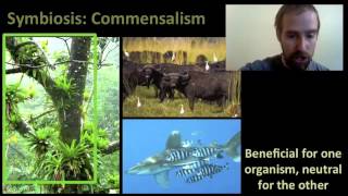 Biology 013 Food Webs and Community Interactions [upl. by Cort]