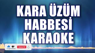 Kara Üzüm Habbesi Karaoke ton Do [upl. by Romilda]