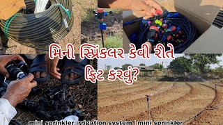 મિની સ્પ્રિંકલર  mini sprinkler irrigation system  mini sprinkler installation [upl. by Yenttihw]