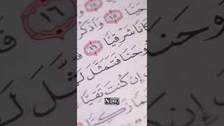 Did the Quran Predict Time Travel [upl. by Selokcin]