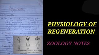 PHYSIOLOGY OF REGENERATION IN HINDI typesofregeneration zoology bsczoology devlopmentbiologynote [upl. by Apps]