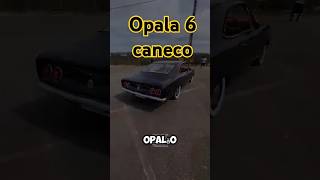 Opala 4100 cc 6 caneco amplificador [upl. by Oinota59]